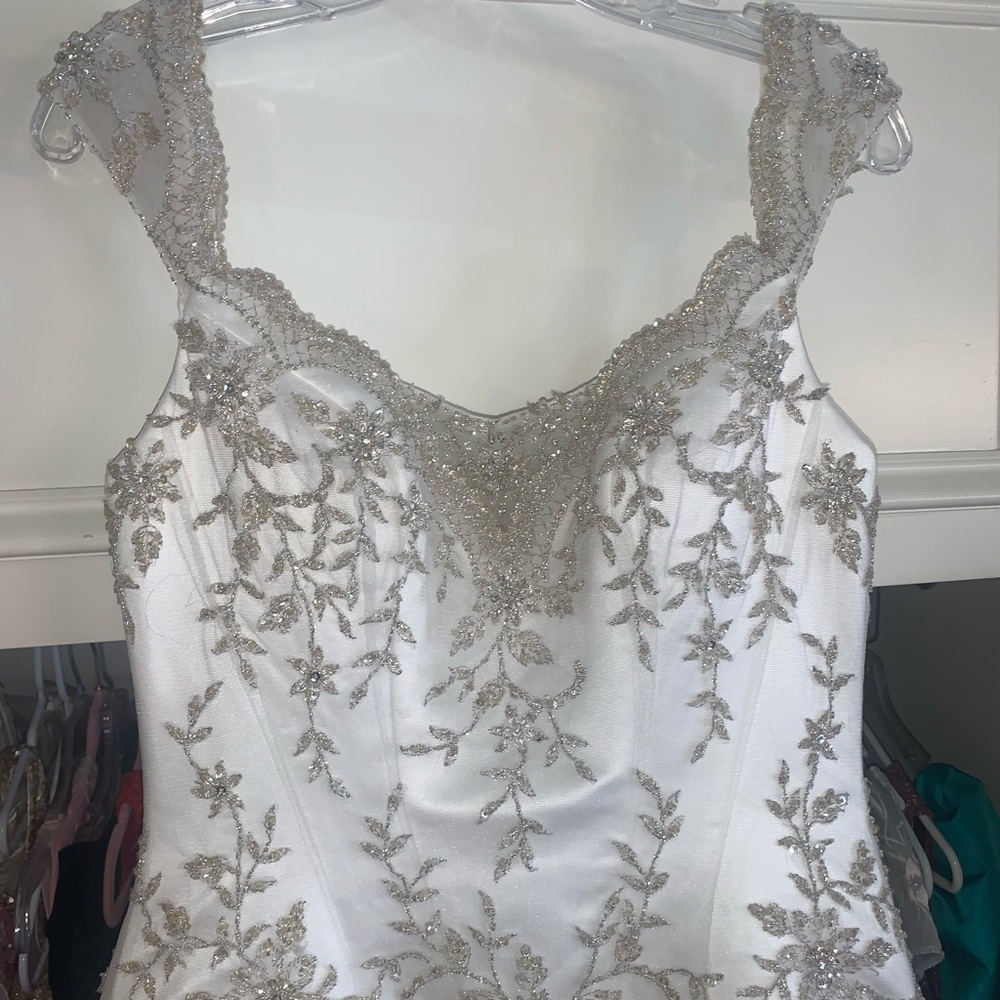 magnificently detailed wedding gown